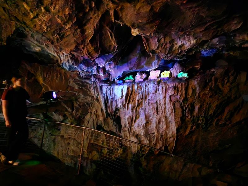 Guided Tours With Knowledgeable and Friendly Guides