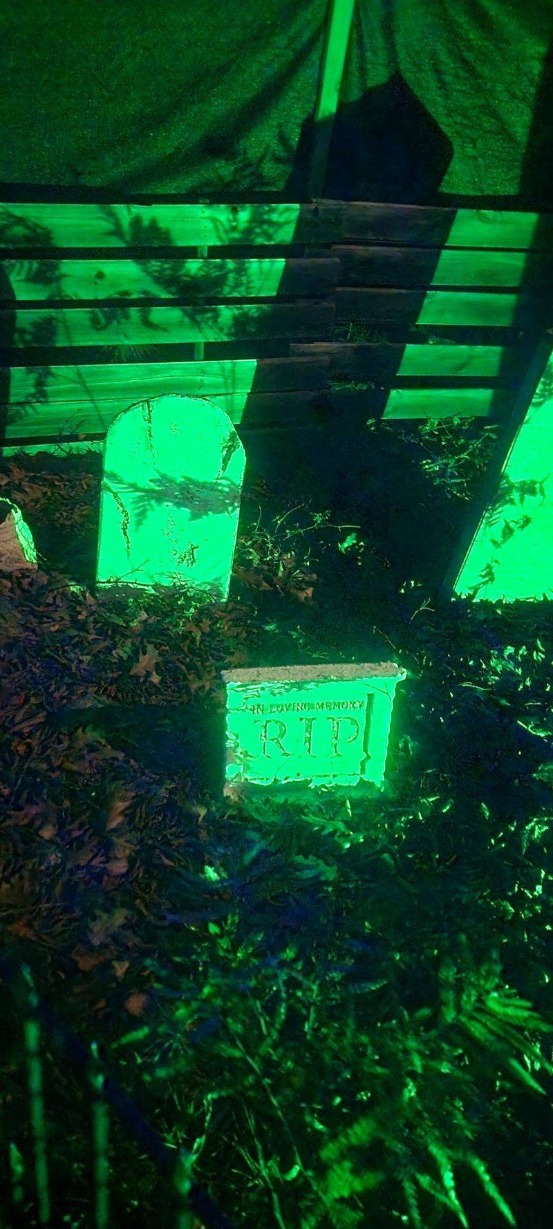 The Cemetery Will Have You Reading Tombstones Very Quickly