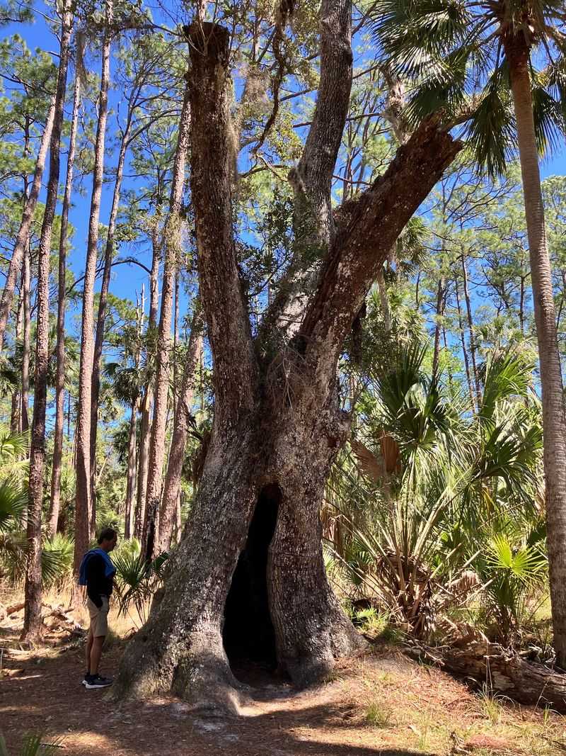 The Challenging 6.8 Mile Trail For Serious Hikers