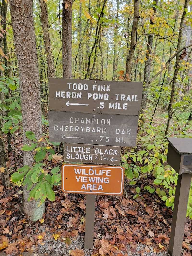 Wildlife You Won't Expect