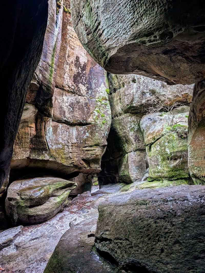 The Channels Natural Area Preserve