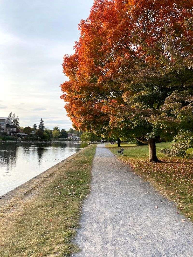 Visiting Tips and Best Times to Go