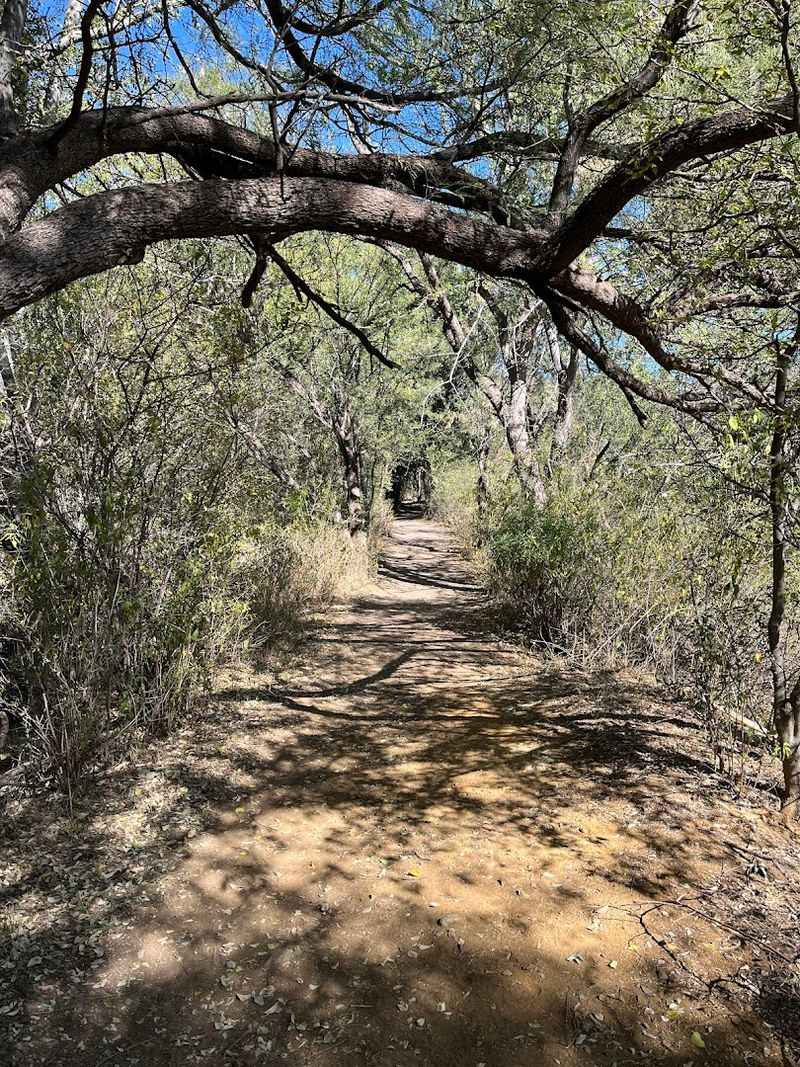 Planning Your Visit And What to Know Before You Go