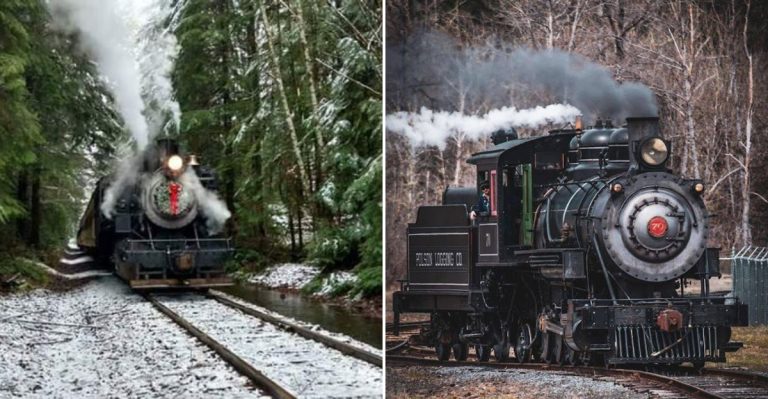 The Charming Washington Train Ride That Looks Like Something From A Storybook