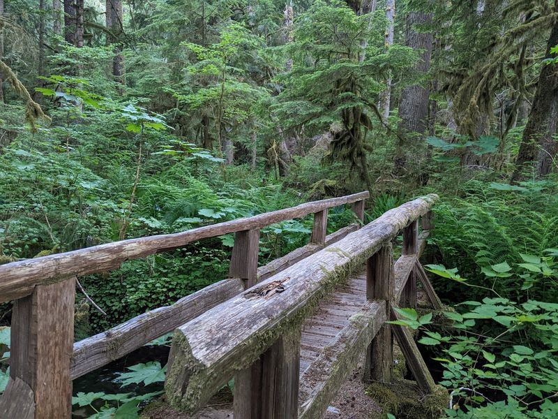 The Charmingly Weathered Boardwalk