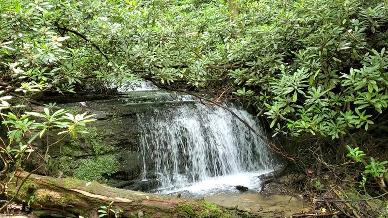 The Chattooga River Connection The Chattooga River Connection