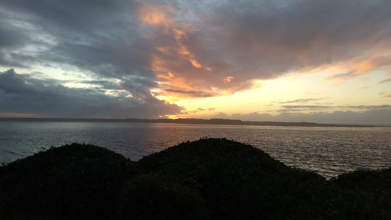 Absolutely No Filter Needed