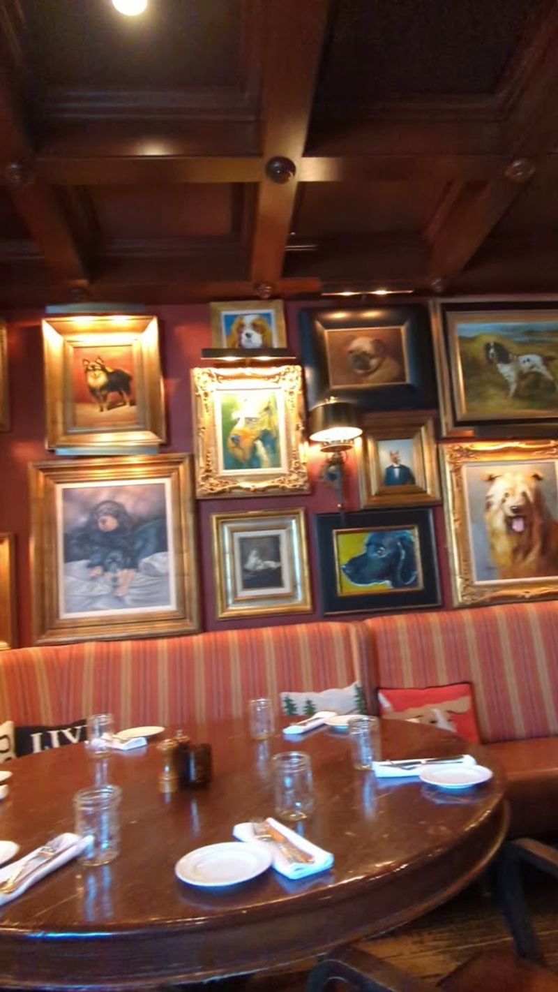 Dog Lovers Will Feel Right At Home Here