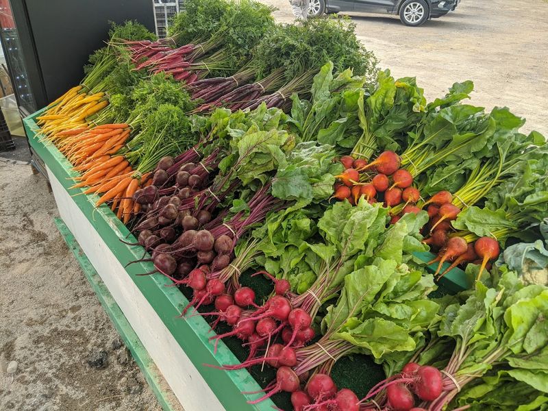 The Chef's Garden Farm Market, Huron