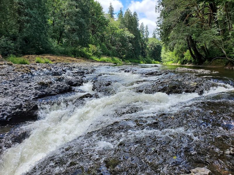 The Chehalis River: Water, History, And Quiet Power