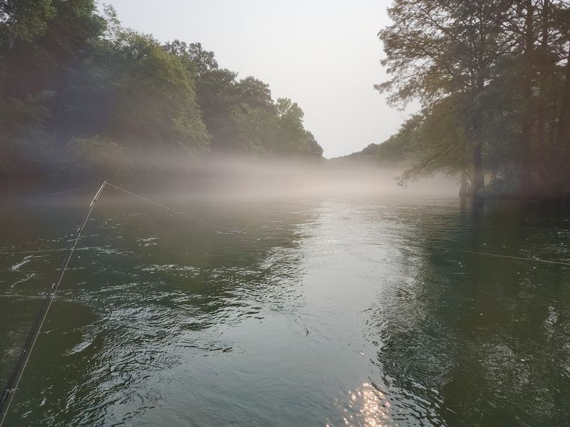 The Science Behind The Fog (And Why It Blew My Mind)