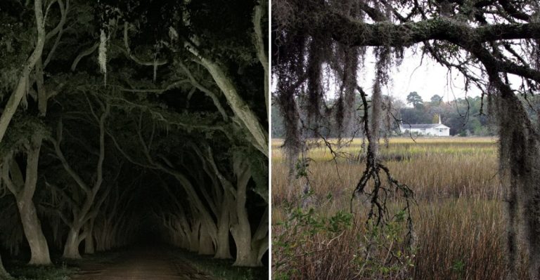 The Chilling South Carolina Marsh Route Locals Swear Is Haunted By History