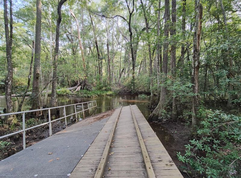 Aiken State Natural Area Is Perfect For Outdoor Escapes
