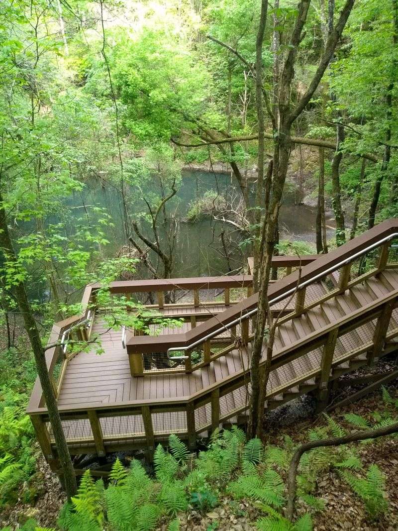 Arrival, Gainesville Style