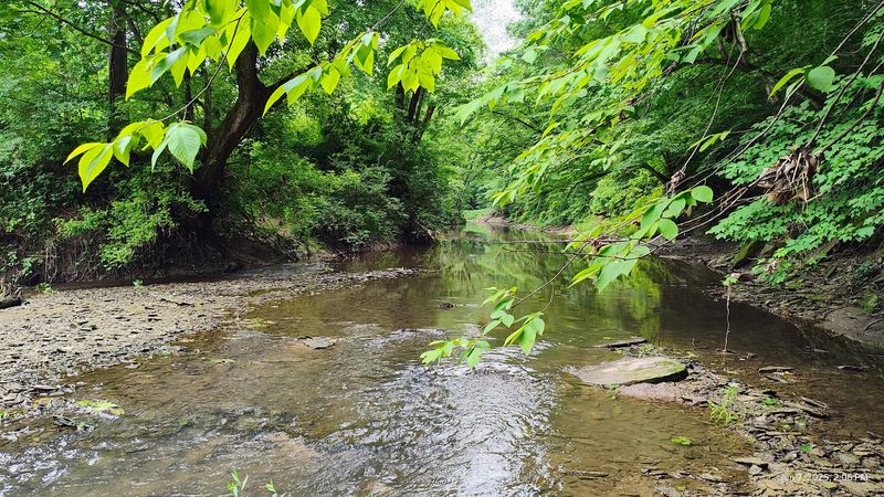 The Crystal-Clear Rocky Spring That Started It All