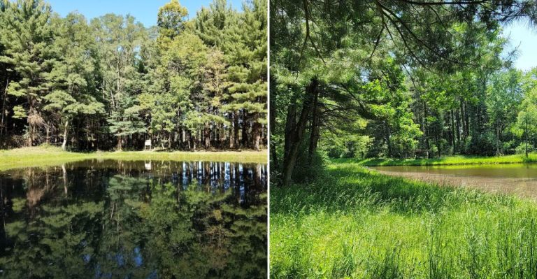 The Clearest Spring In Illinois Is Almost Too Gorgeous To Be Real