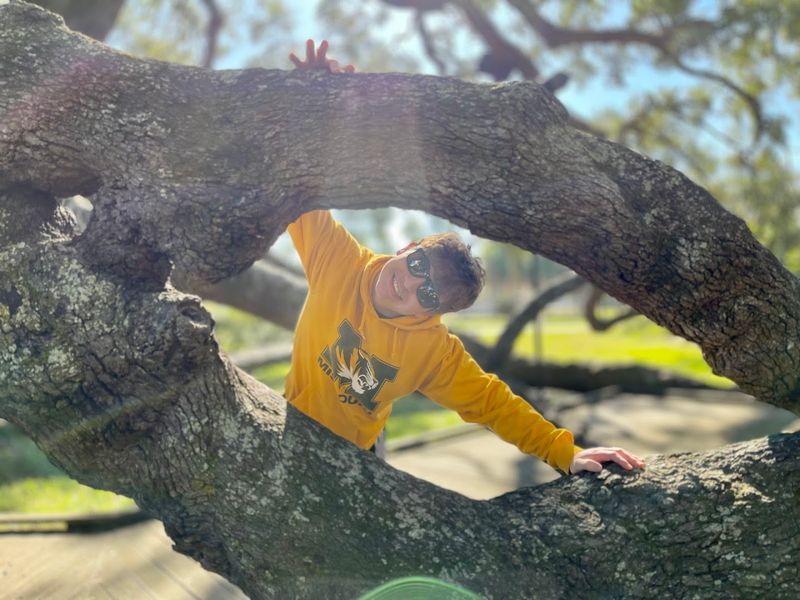 The Climbing Tree That Welcomes Adventurers The Climbing Tree That Welcomes Adventurers