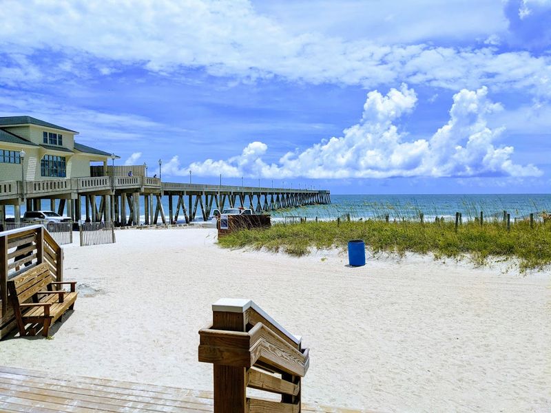 The Heartbeat Of The Carolina Coast