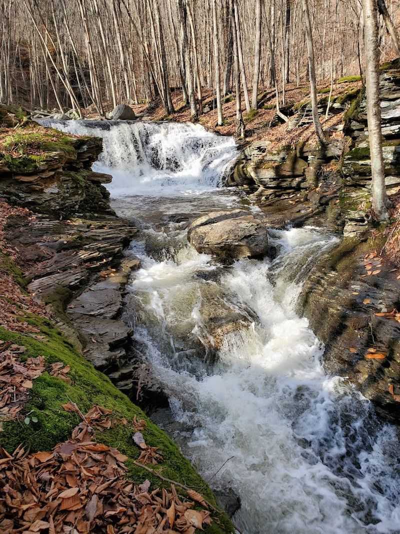 McIntyre Township's Surprisingly Wild Setting