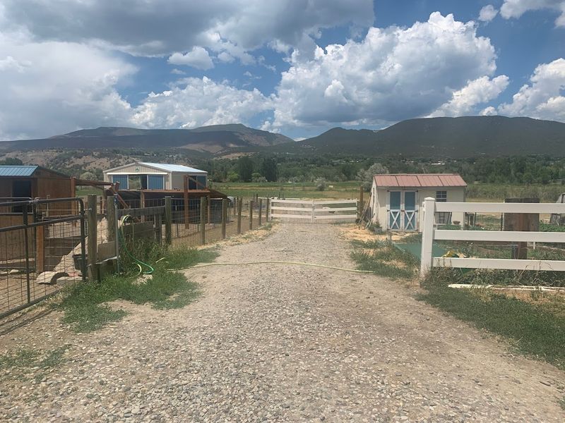 Where The Plan Makes Itself