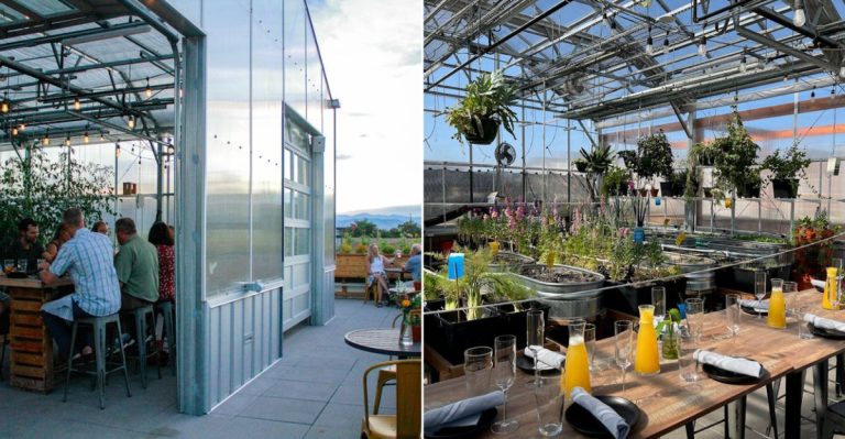 The Colorado Greenhouse Café That Feels Like Spring No Matter The Weather In April