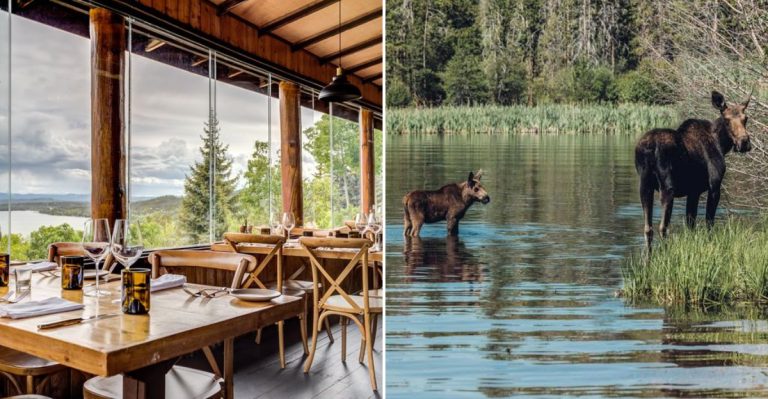 The Colorado Lakeside Escape Locals Swear Is Worth The Drive Every Season