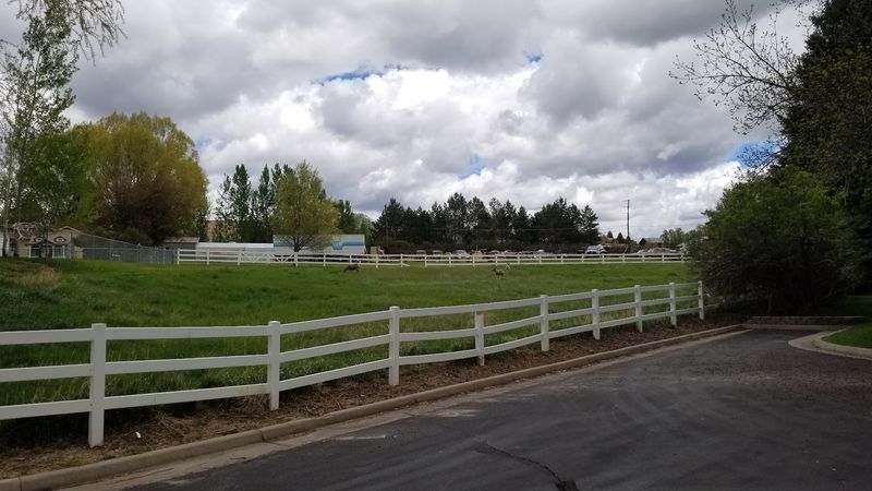 The Colorado Mountain Town That Rewards the Early Arrival