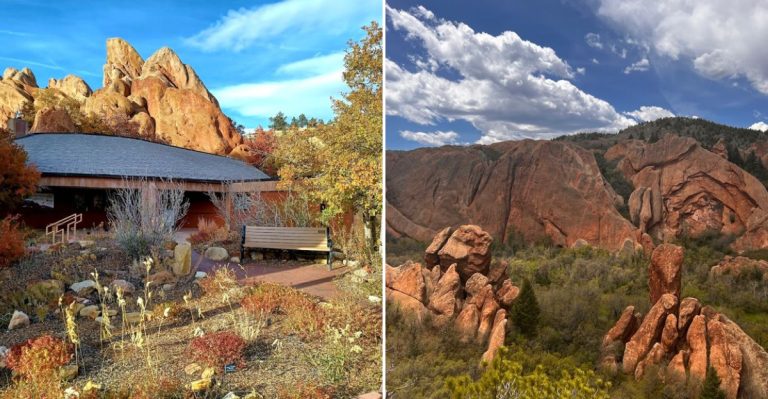 The Colorado Spot Spring Where Wildflowers Completely Steal The Show