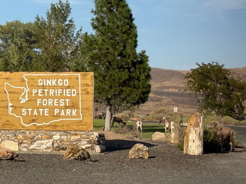 Practical Tips For Planning Your Visit