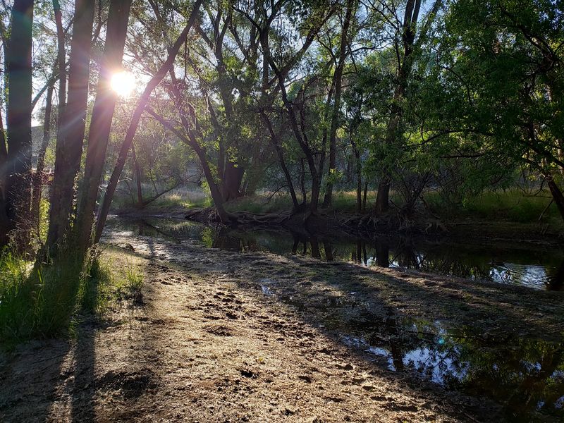 The Comeback Story of a Rewilded Floodplain