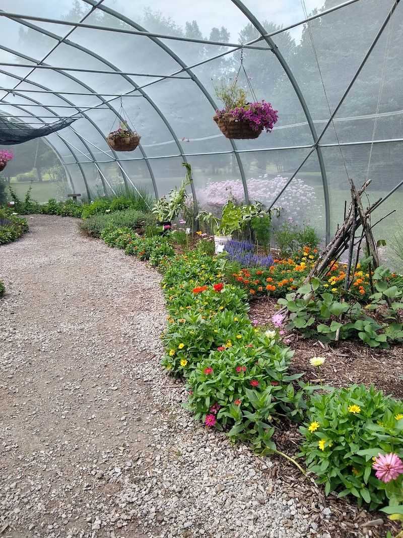 The Community Garden Shows Nature As Something You Can Tend The Community Garden Shows Nature As Something You Can Tend