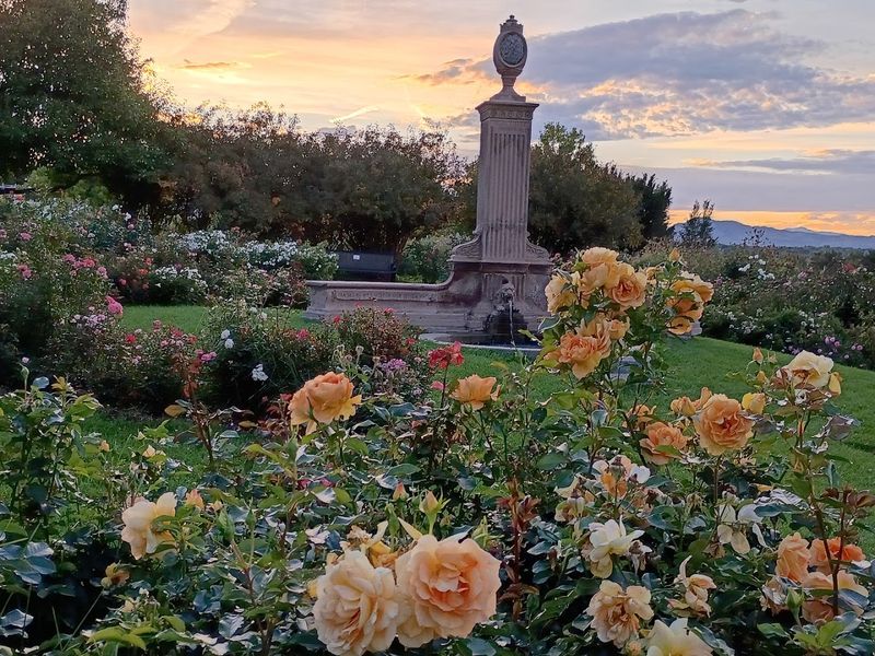 Final Verdict: Colorado's Most Underrated Garden Deserves Your Afternoon