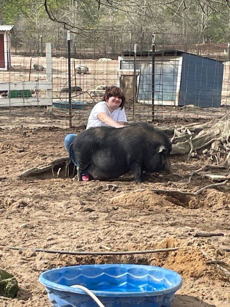 The Compassionate Mission Behind The Sanctuary The Compassionate Mission Behind The Sanctuary
