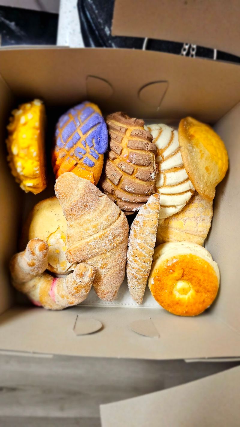 The Conchas Are Ridiculously Soft
