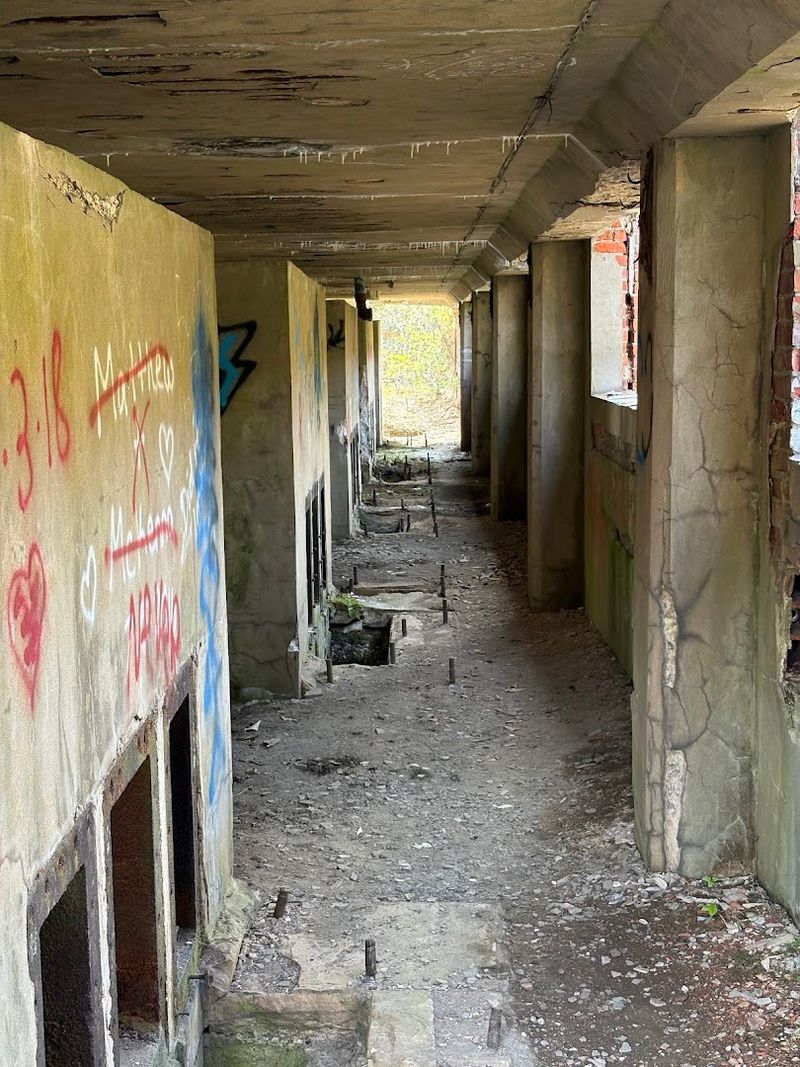 The Abandoned Paper Mill That Adds To The Mystery