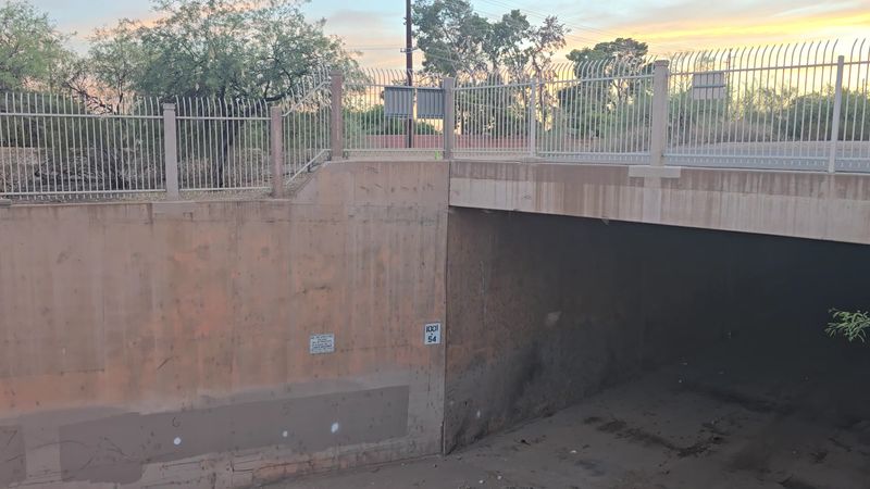 The Concrete Tunnel That Became a Bat Home