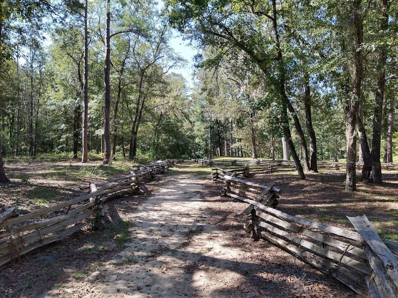 The Confederate Last Stand In South Carolina