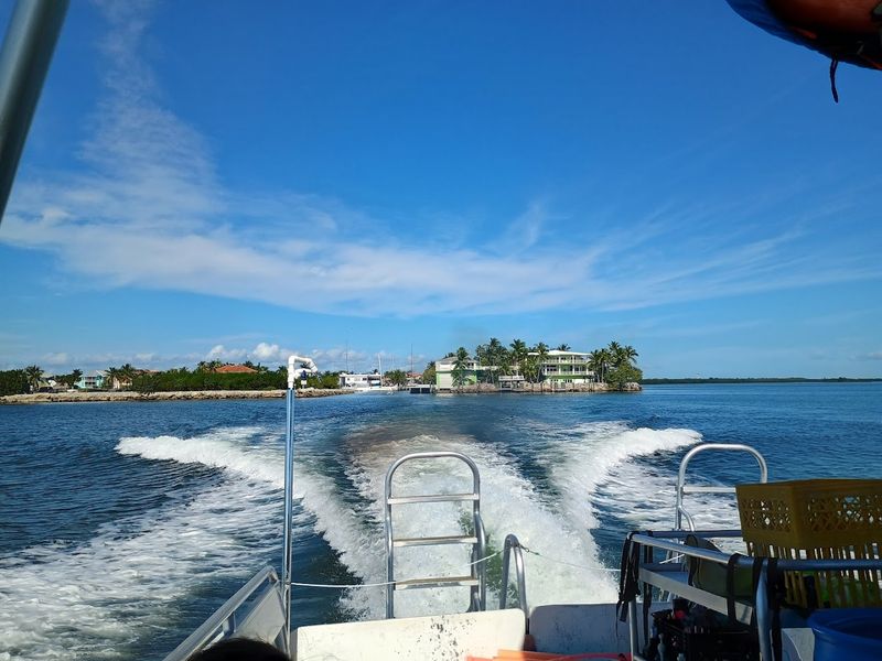 How To Get There And What To Expect On Tour Boats