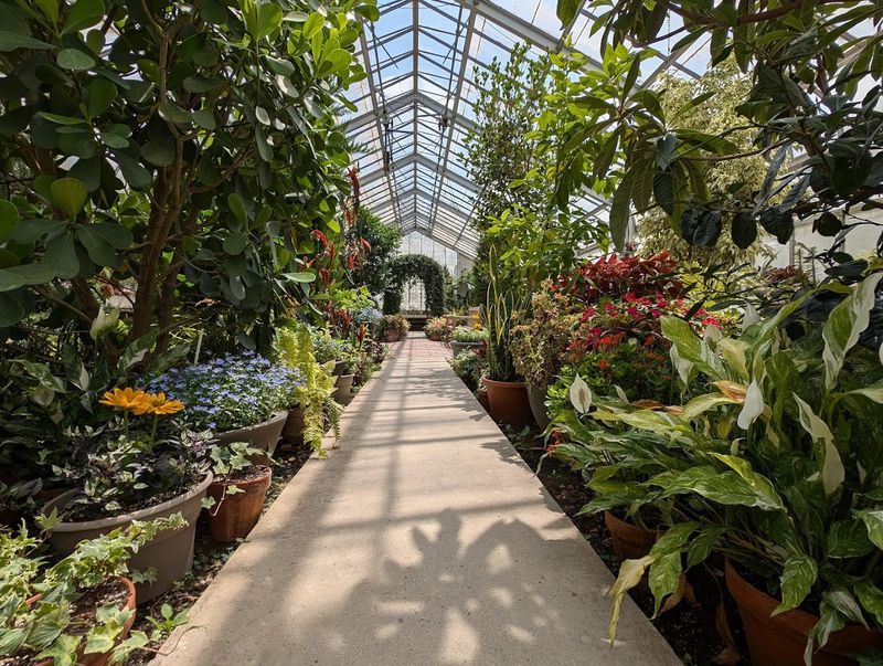 The Conservatory Is Not A Side Note
