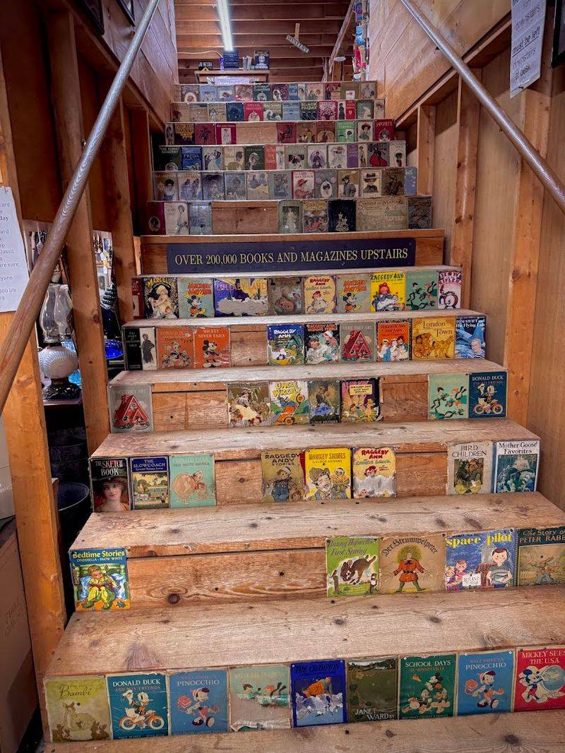 The Rare And Antiquarian Book Section