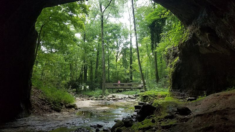 The Cool Cave Air That Hits You First