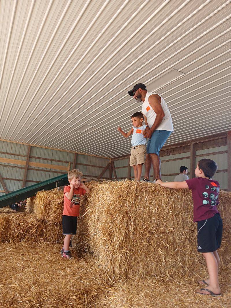 The Corn Box Nobody Wants To Leave