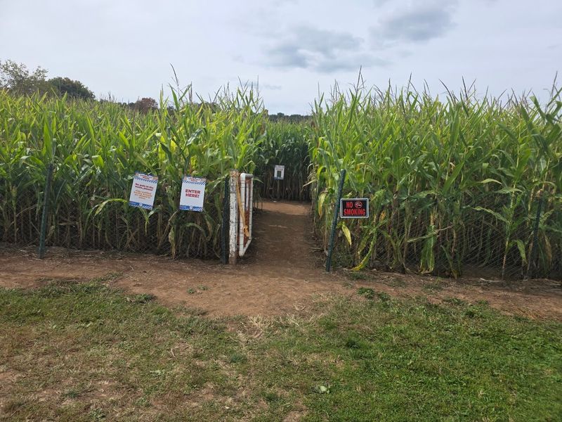 The Corn Maze That Will Actually Challenge You