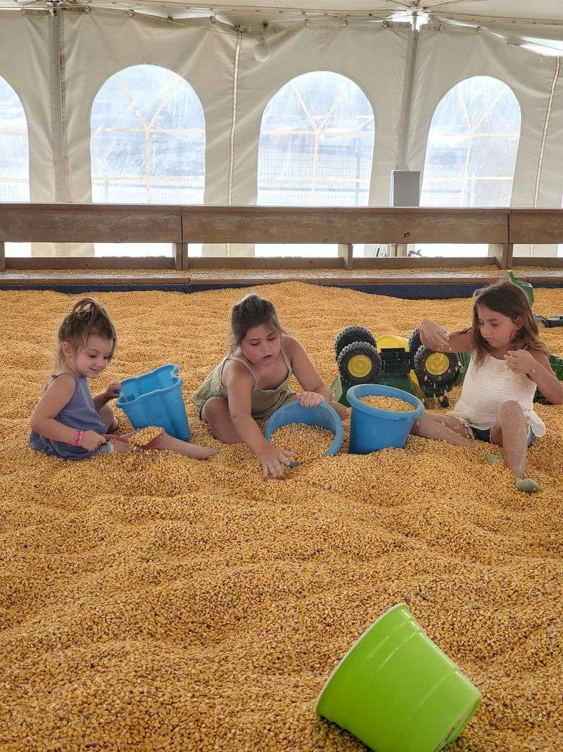 The Corn Pit Is Weirdly Addictive
