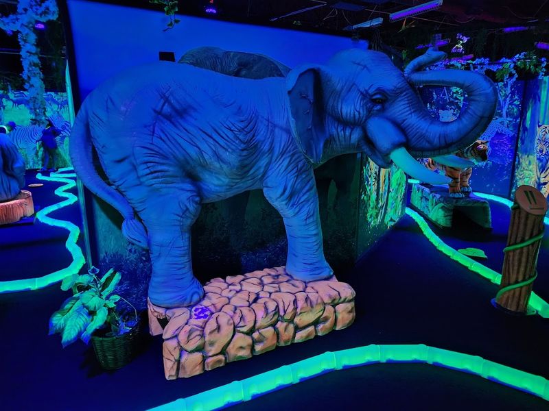 Neon Art That Belongs In A Museum