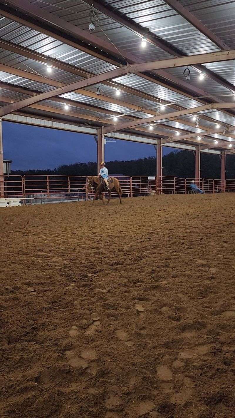 The Covered Arena Brings Big Fair Energy