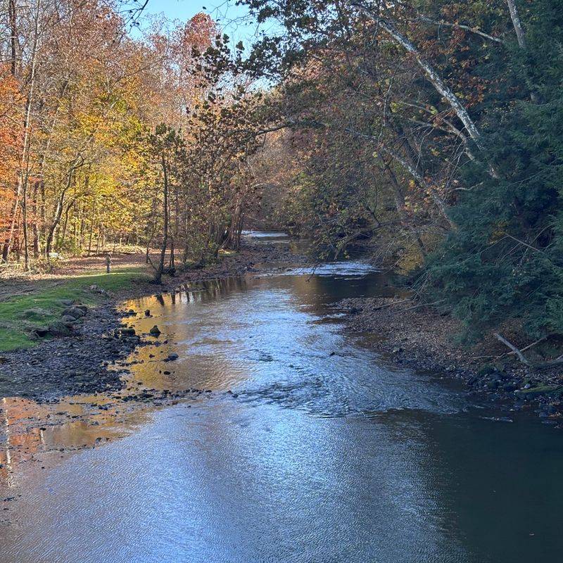 Clear Fork River Adventures