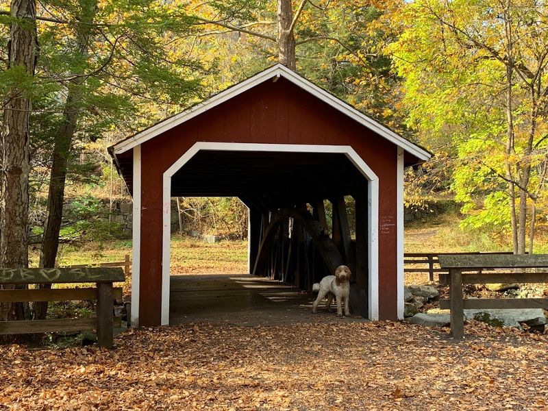 The Covered Bridge That Belongs On A Postcard