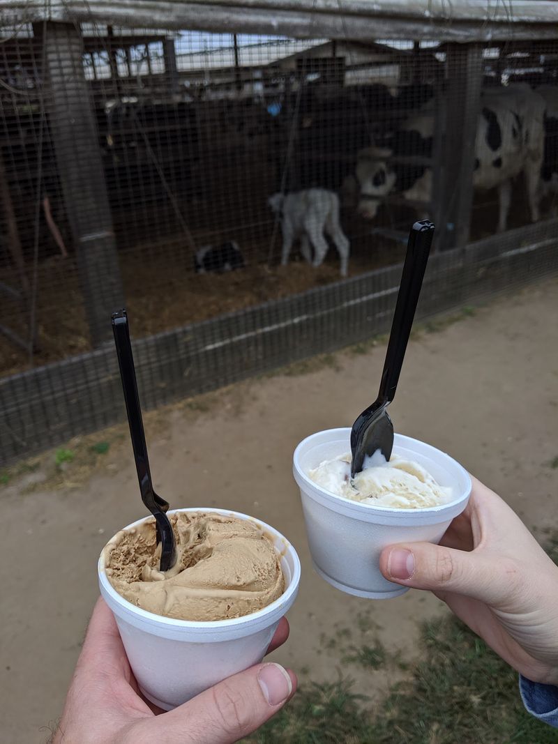 The Cow-To-Cone Process That Changes Everything