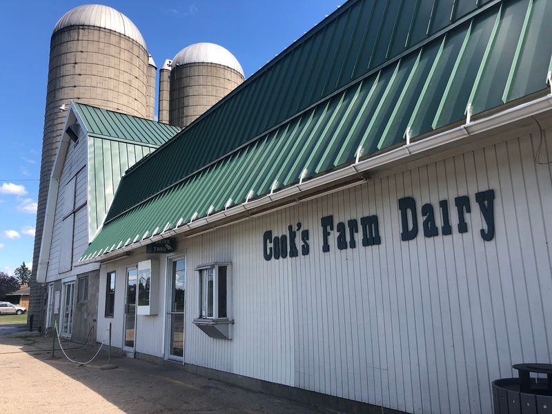 The Cows Are The Landmark